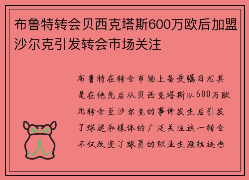 布鲁特转会贝西克塔斯600万欧后加盟沙尔克引发转会市场关注